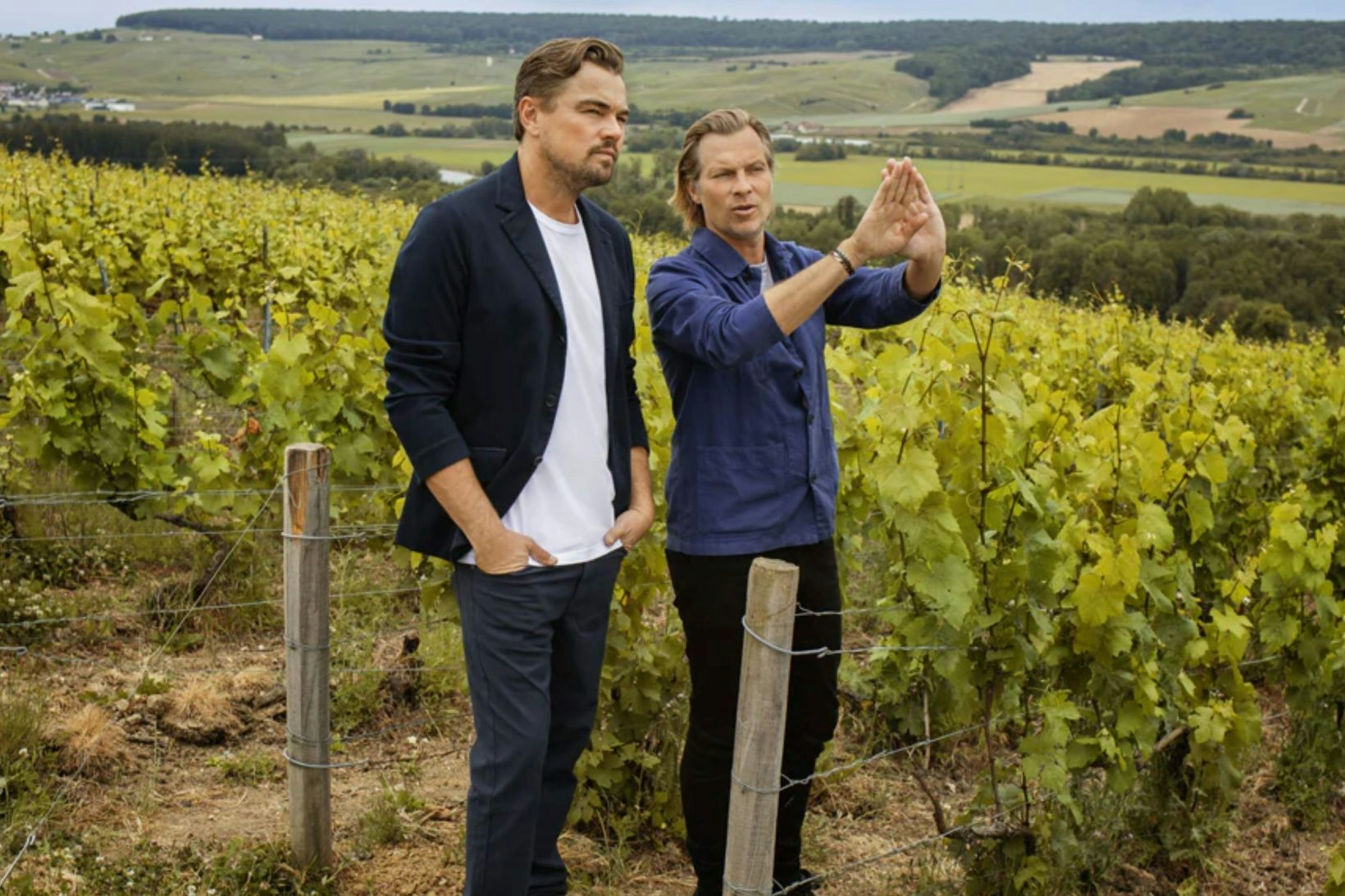 The green revolution of Telmont champagnes seduces DiCaprio