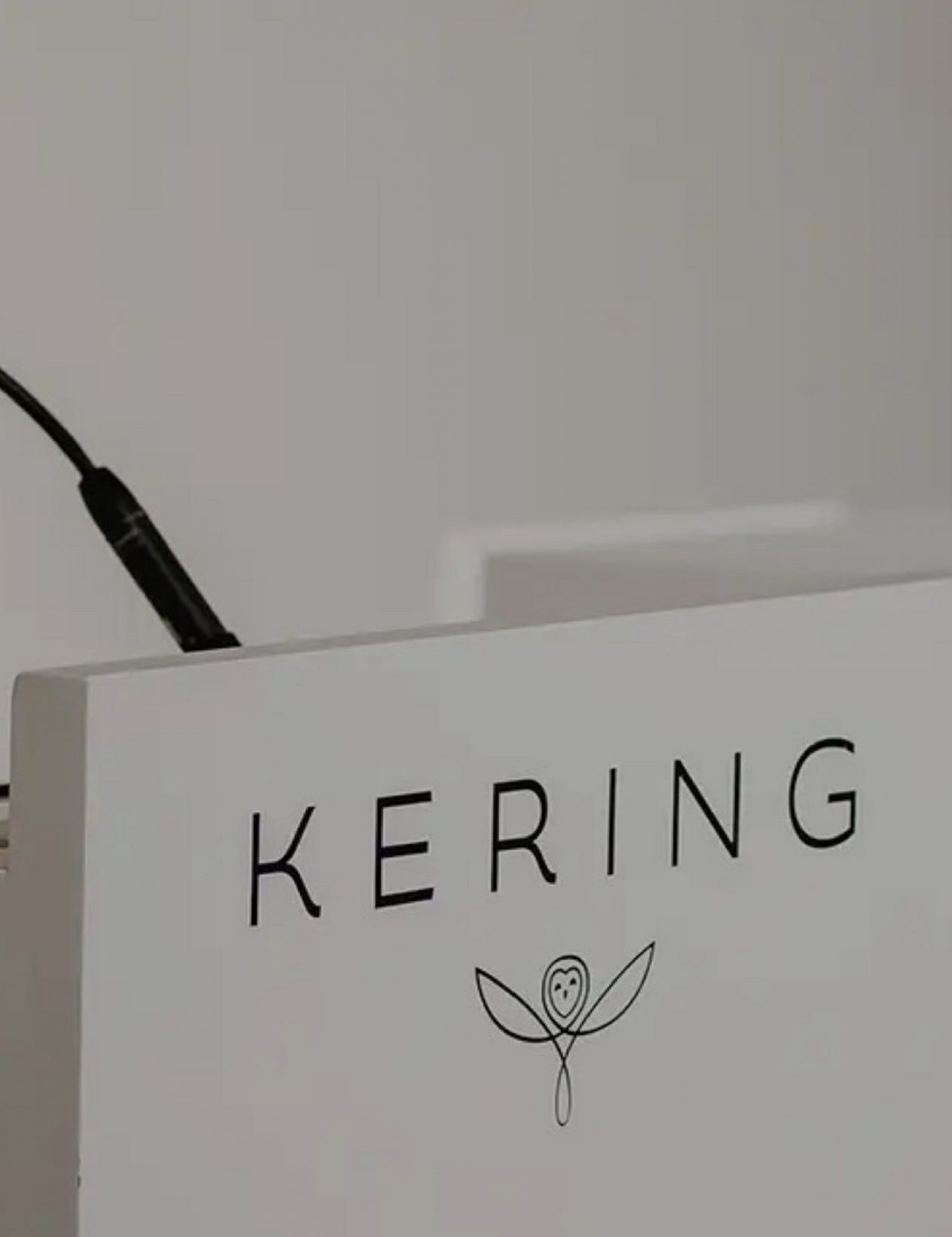 Bluebell Capital investit dans Kering, un signal fort face à LVMH?