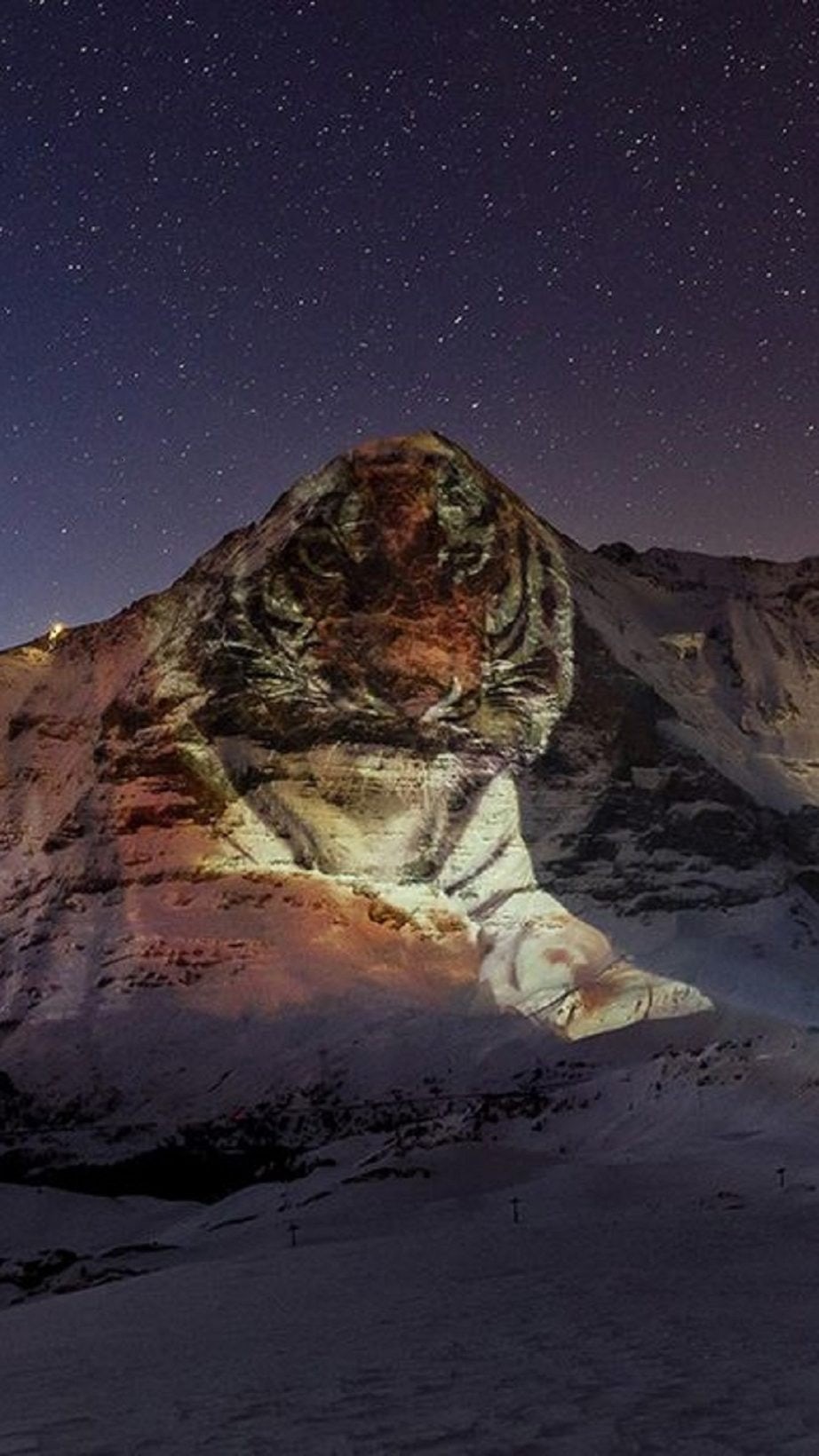 A tiger projected onto the Eiger