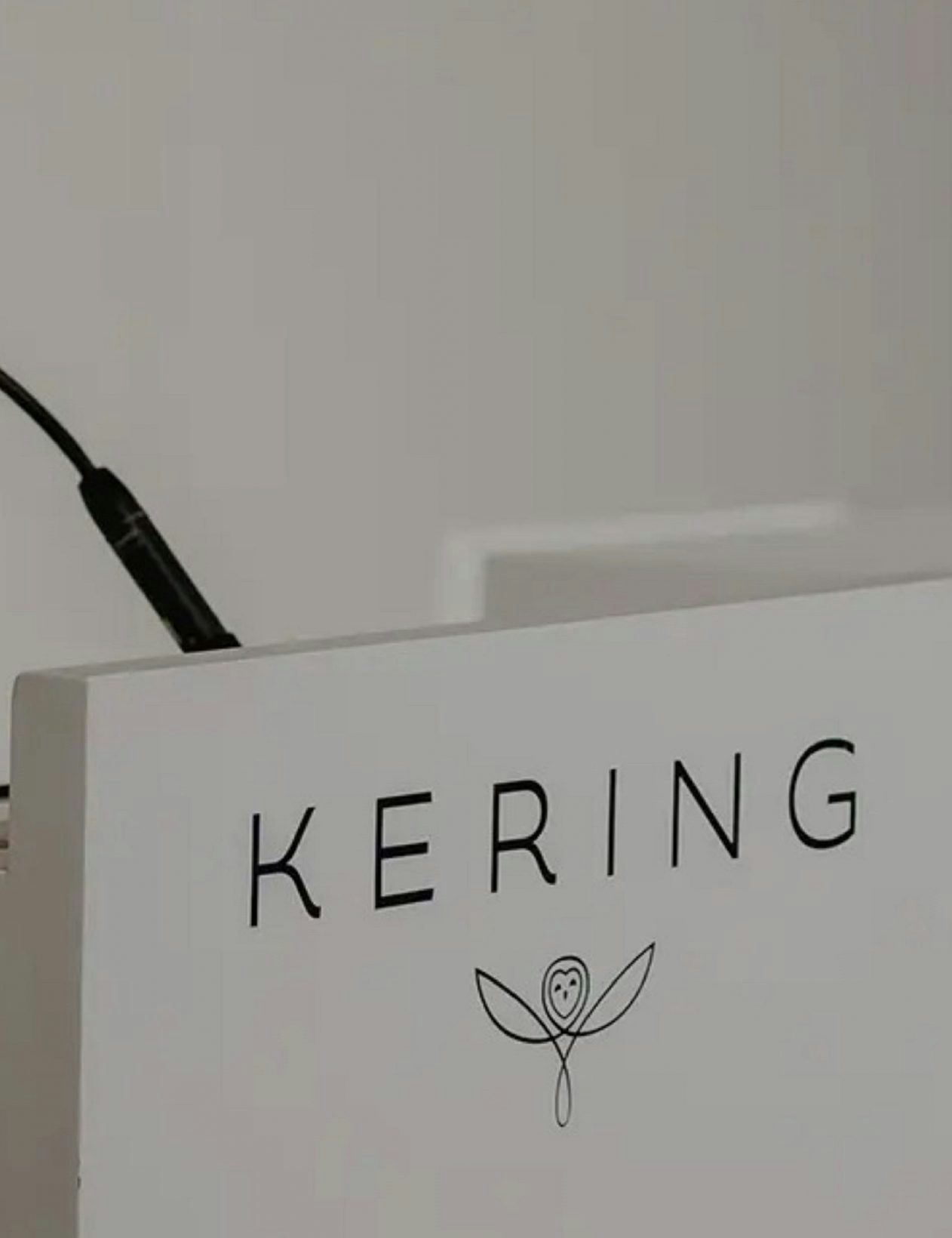 Bluebell Capital invests in Kering, a strong signal facing LVMH?